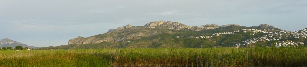 Panorámica del Marjal de Pego-Oliva