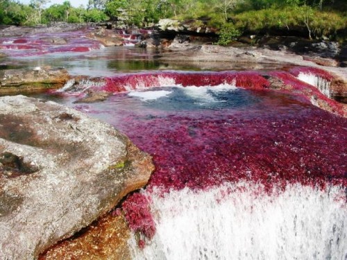 Aguas termales sangrientas de Japón