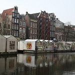 Bloemenmarkt o cómo hacer turismo de bulbos en Ámsterdam