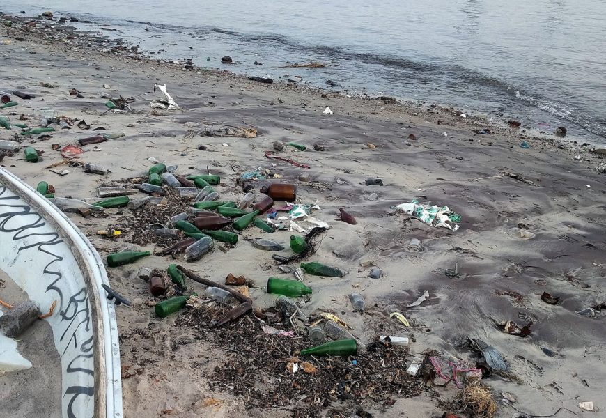 Dead Horse Bay: arqueología de la basura en Nueva York