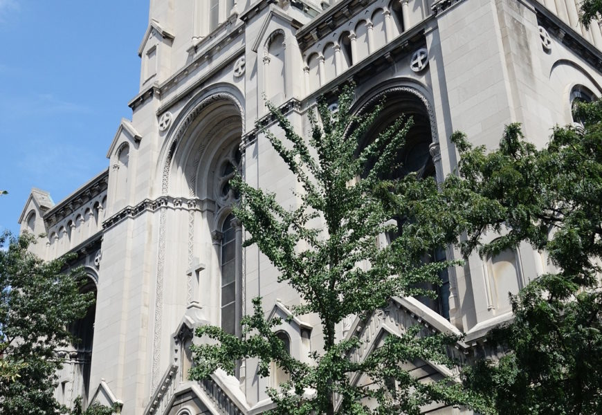 La historia de San Damián de Nueva York, el santo en los huesos de la Gran Manzana