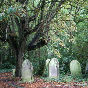 El árbol del Cementerio de Saint Pancras: ¿qué hacen las lápidas apiladas ahí?