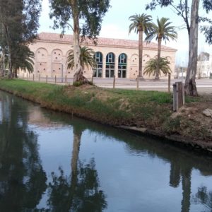 Un paseo por el antiguo canal de navegación – Puerto de Los Alfaques